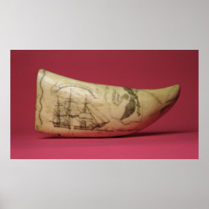 Poster A Susan na costa do Scrimshaw no Japão