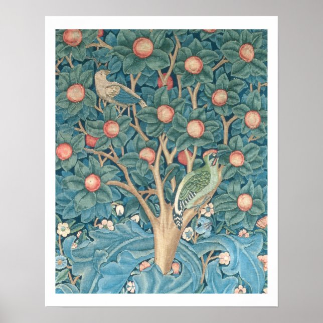 Póster A tapeçaria do Pica-Pau, detalhes dos pica-pau (Frente)