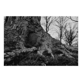 Póster a terra recupera