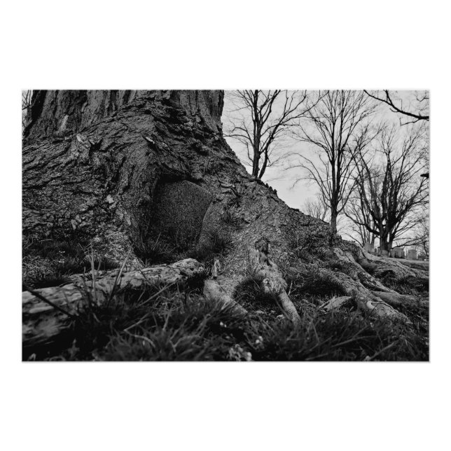 Póster a terra recupera (Frente)