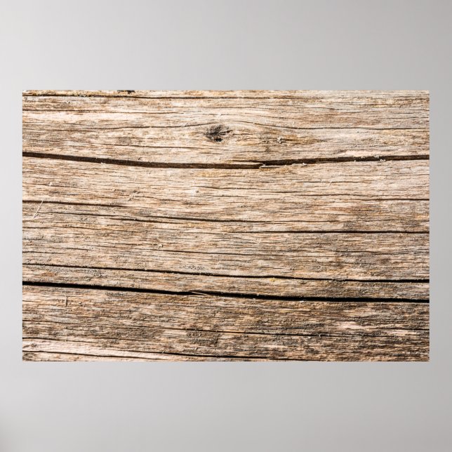Poster A textura de um velho tronco de madeira sem latido (Frente)