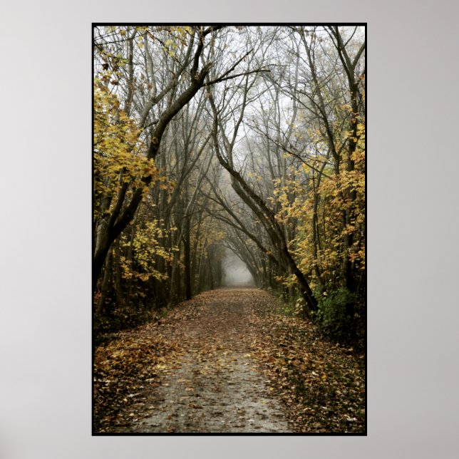 Poster A trilha de queda leva ao nevoeiro (Frente)