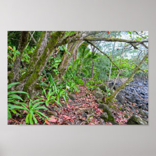 Poster A trilha Kalalau, a costa de Napali, Kauai, Havaí