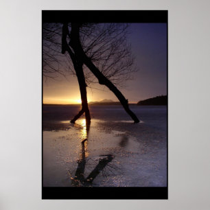 Póster A última figura Scater