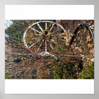 Póster A última roda