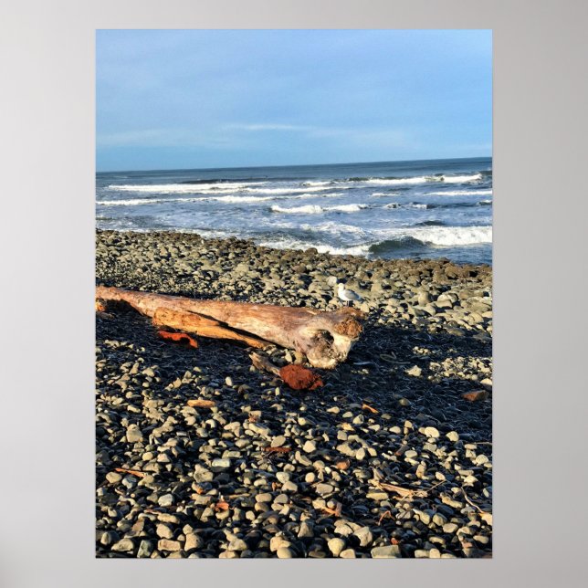 Poster A Vaca em Seaside, Oregon (Frente)