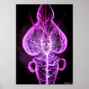 Poster A vascularização do sistema nervoso em roden