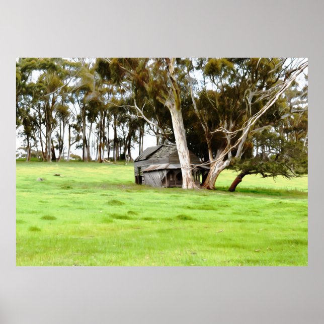 Poster A Velha barraca De Madeira (Frente)