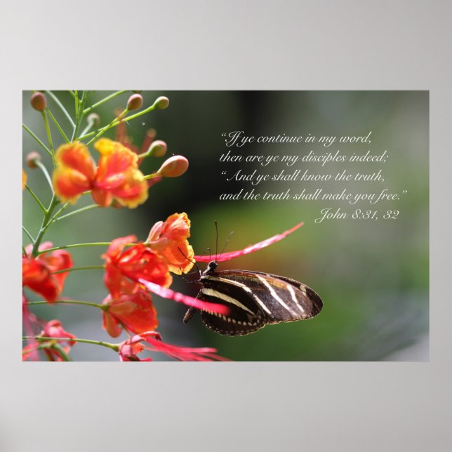 Póster A Verdade Lhe Libertará Poster, Versão C (Frente)