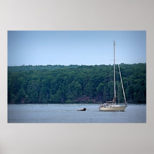 Poster A vida à vela