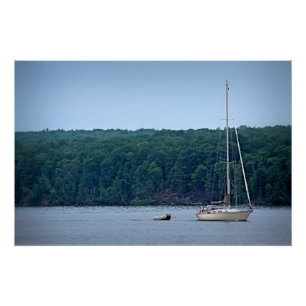 Póster A vida à vela