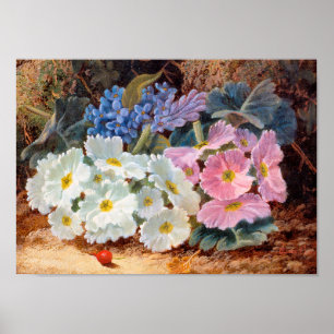 Poster A vida das flores Oliver Clare 1853 - 1927