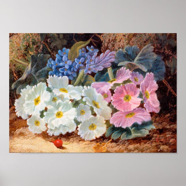 Poster A vida das flores Oliver Clare 1853 - 1927 (Frente)