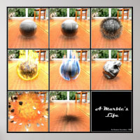 A vida de Marble