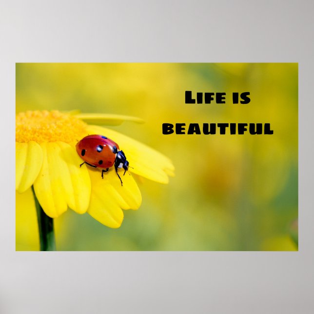 Poster A vida é bela - Ladybug (Frente)