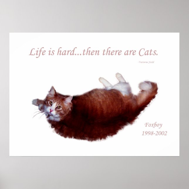 Poster A vida é duro...então há Cats. (Frente)