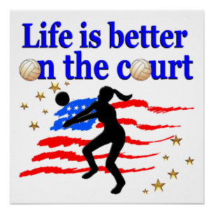 PÓSTER A VIDA É MELHOR NO TRIBUNAL DOS EUA, VOLLEYBALL DE