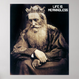 Poster A vida é sem significado