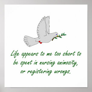 Poster A Vida Me Parece Muito Curta - Citações Perdoativa