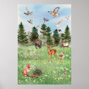 Poster A Vida Selvagem dos Animais da Floresta