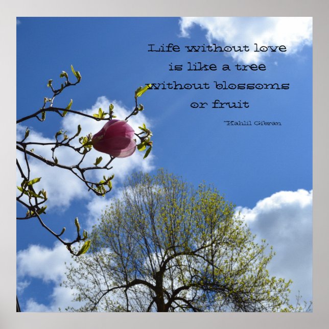 Póster A vida sem amor é como (Frente)