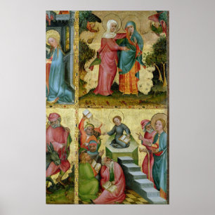 Póster A visitação e a disputa com doutores