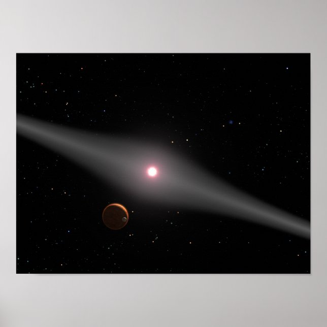 Póster A vista da vizinhança (Frente)