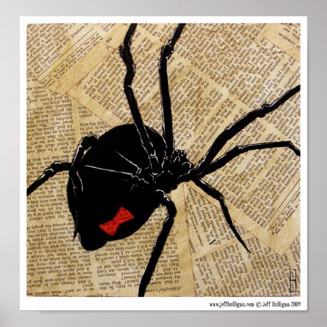 Póster A Viúva (Frente)