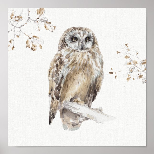 Póster A Woodland Walk VIII (Frente)