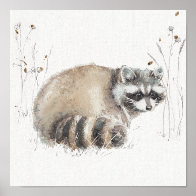 Poster A Woodland Walk X (Frente)