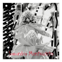 Abacaxis brancos e Poster brilhante de morango