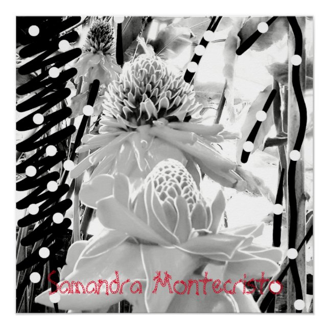 Póster Abacaxis brancos e Poster brilhante de morango (Frente)