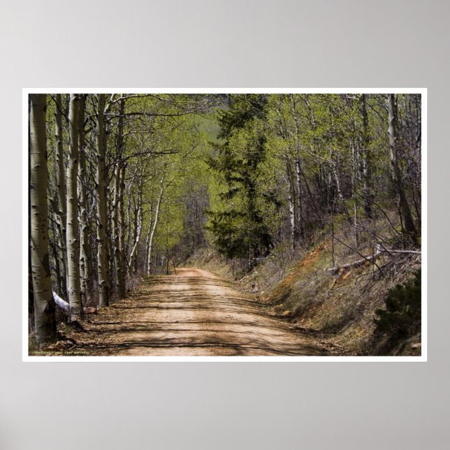 Poster Abaixo a estrada (Frente)