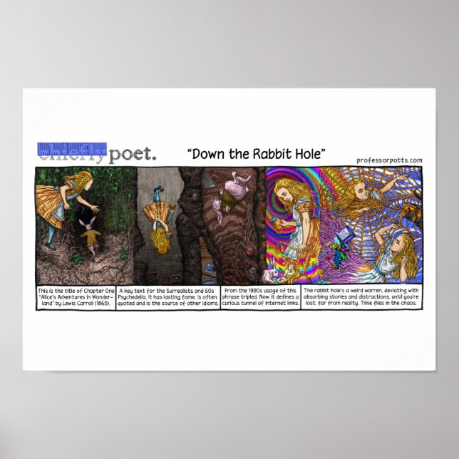 Poster Abaixo o Buraco do Coelho (Frente)