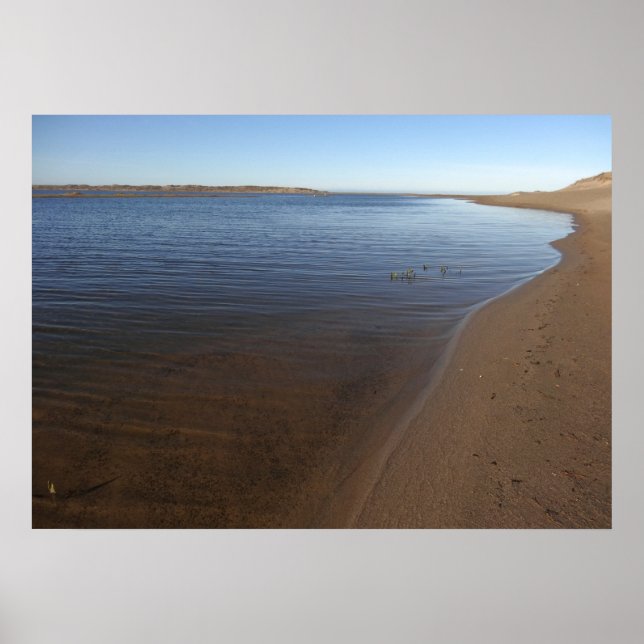 Poster Abbotts Lagoon II no Point Reyes National Seashore (Frente)