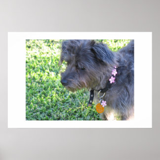 Poster Abby Mae