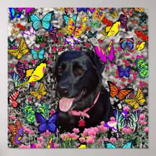 Poster Abby nas borboletas - cão preto do laboratório