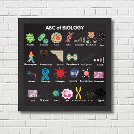Poster ABC de Biologia