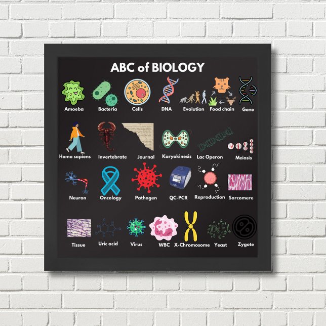 Poster ABC de Biologia (Criador carregado)