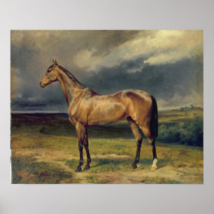 Poster Abdul Medschid o cavalo árabe da castanha, 1855