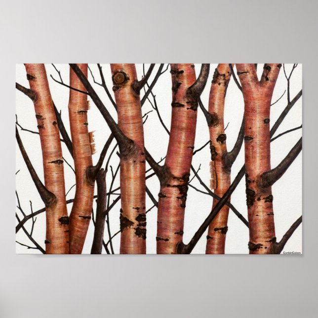 Póster abedules rojos (Frente)