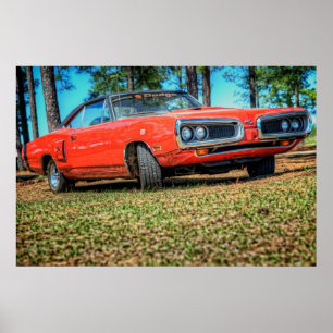 Póster 'Abelha 70 super