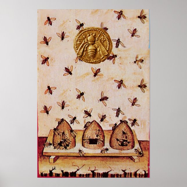 POSTER ABELHA ,APICULTURA,APICULTOR (Frente)