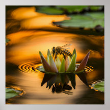 Abelha de Mel na Flor