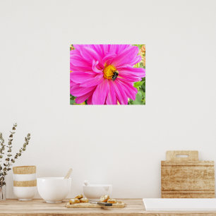Póster Abelha em Flor Fotográfica de Dahlia Rosa