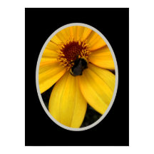 Abelha em uma flor amarela