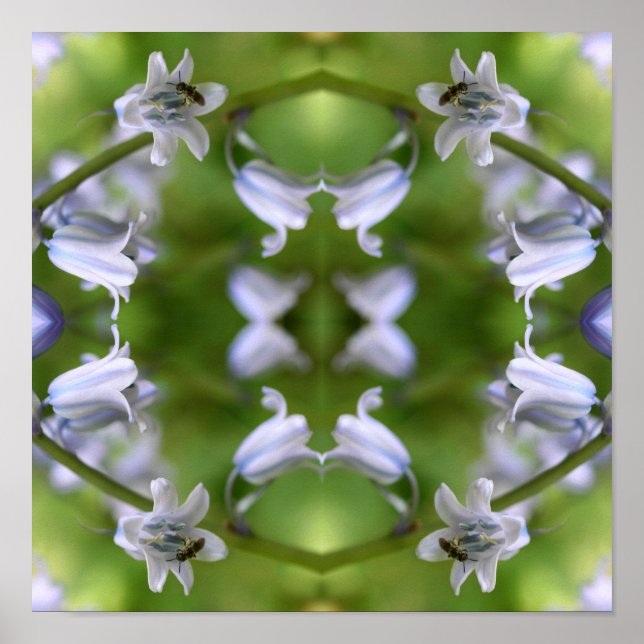 Poster Abelha Na Flor De Campainha Azul Abstrato (Frente)