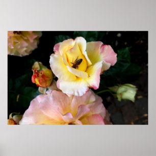 Poster Abelha nas flores amarelas cor-de-rosa