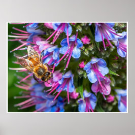 Poster Abelha Ocupada