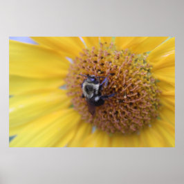 Poster Abelha Ocupada em um Girassol Amarelo